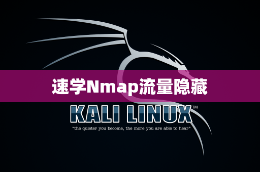 速学Nmap流量隐藏