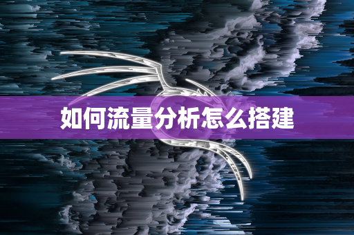 如何流量分析怎么搭建