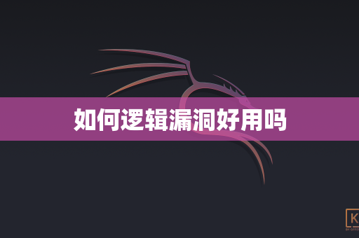 如何逻辑漏洞好用吗