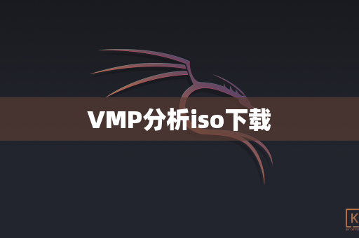 VMP分析iso下载