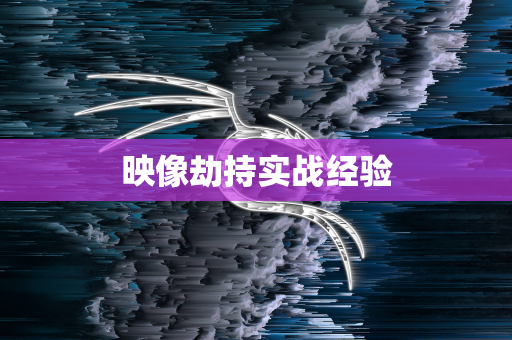 映像劫持实战经验