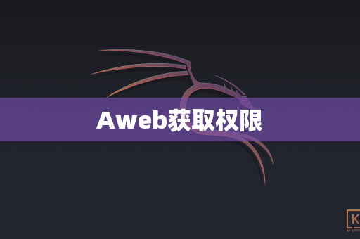 Aweb获取权限