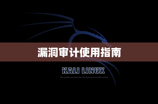 漏洞审计使用指南