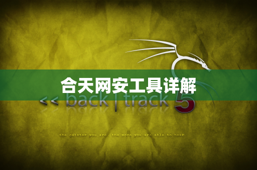 合天网安工具详解