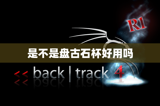 是不是盘古石杯好用吗