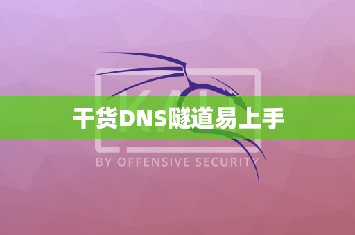 干货DNS隧道易上手