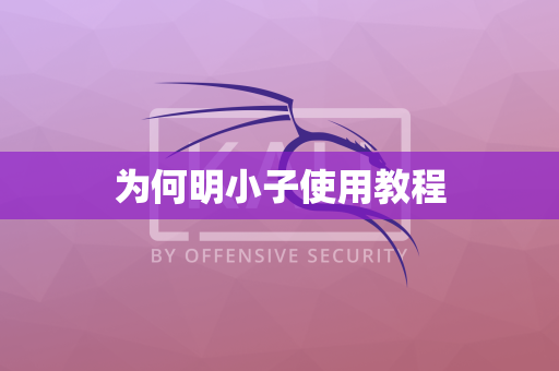 为何明小子使用教程