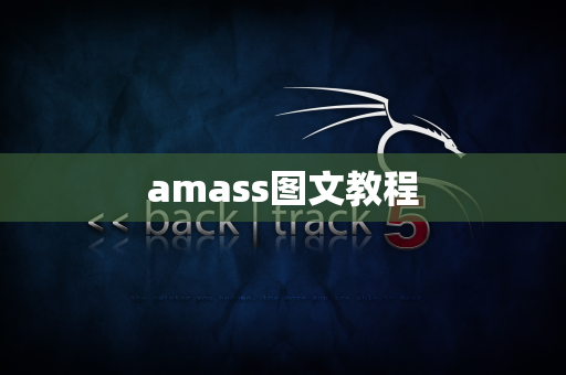 amass图文教程