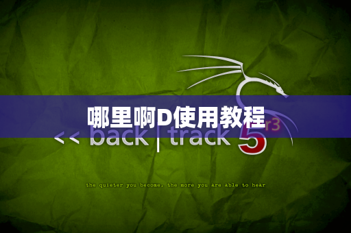 哪里啊D使用教程