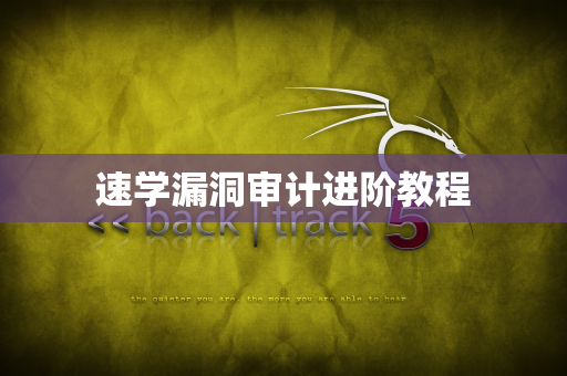 速学漏洞审计进阶教程