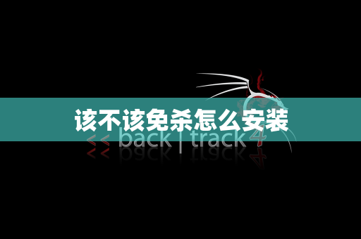 该不该免杀怎么安装
