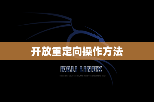 开放重定向操作方法