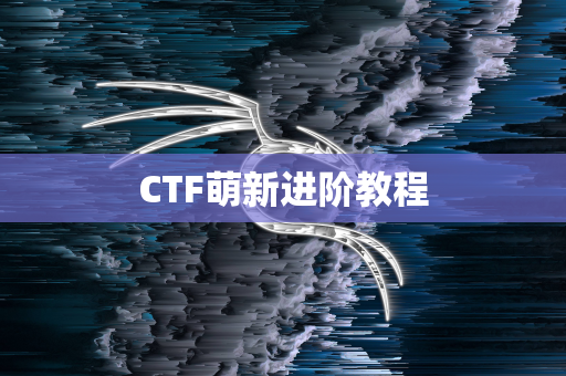 CTF萌新进阶教程