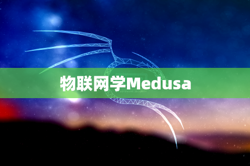 物联网学Medusa