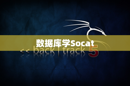 数据库学Socat