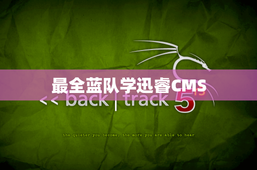 最全蓝队学迅睿CMS