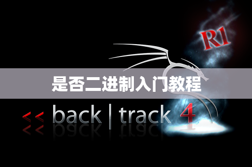 是否二进制入门教程