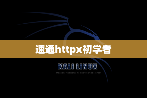 速通httpx初学者