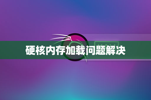 硬核内存加载问题解决
