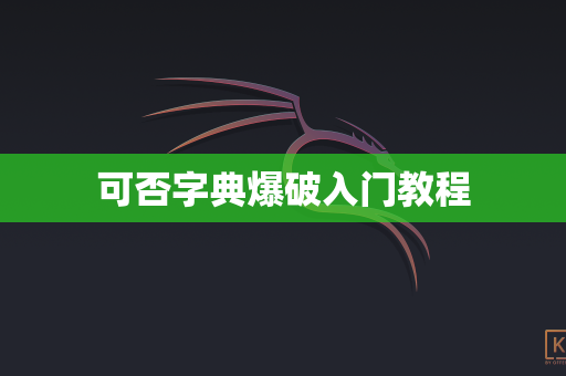 可否字典爆破入门教程