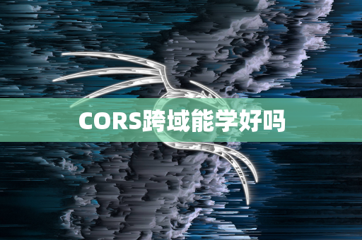 CORS跨域能学好吗