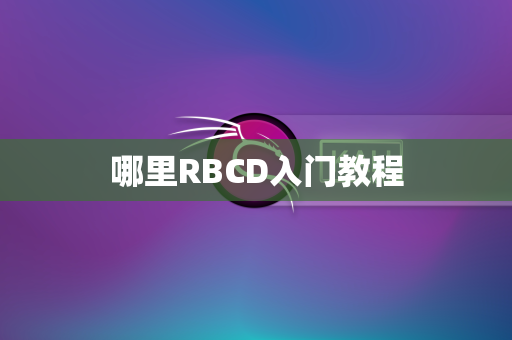 哪里RBCD入门教程