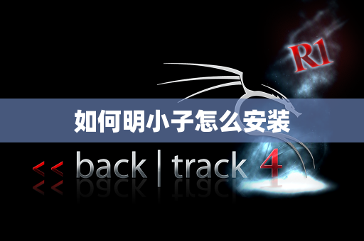如何明小子怎么安装