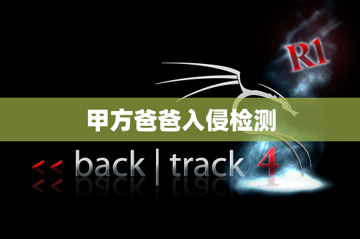 甲方爸爸入侵检测