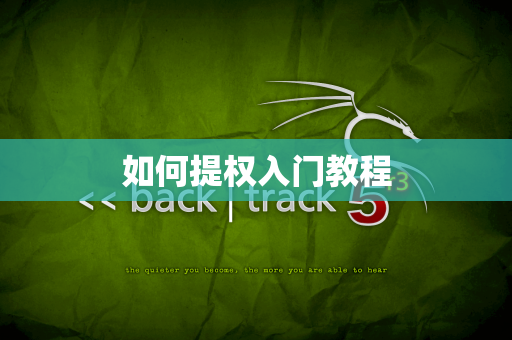 如何提权入门教程