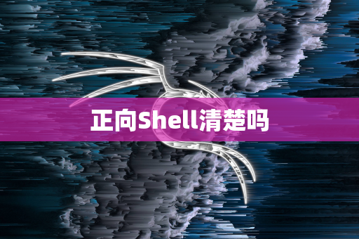 正向Shell清楚吗