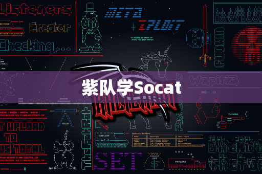 紫队学Socat