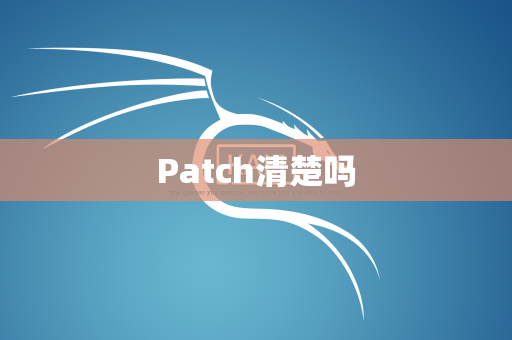 Patch清楚吗