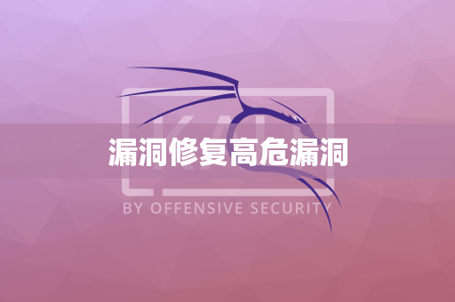漏洞修复高危漏洞