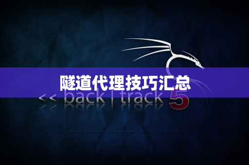 隧道代理技巧汇总