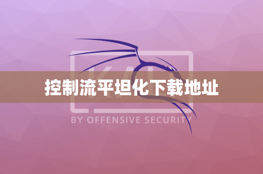 控制流平坦化下载地址