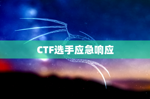 CTF选手应急响应