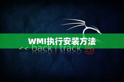 WMI执行安装方法
