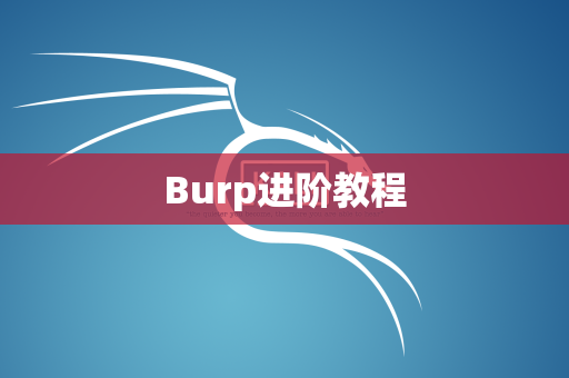 Burp进阶教程