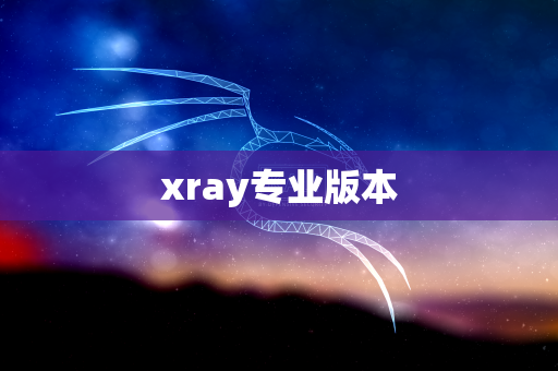 xray专业版本