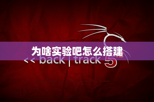为啥实验吧怎么搭建
