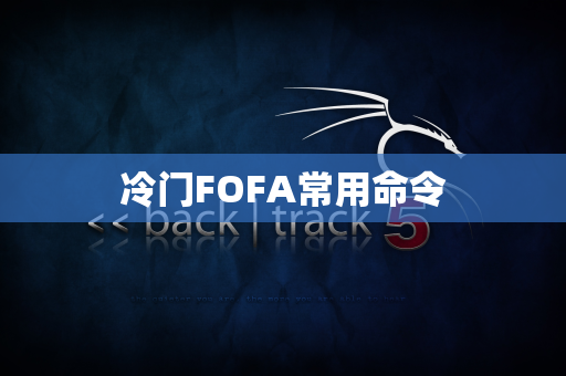 冷门FOFA常用命令