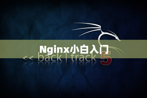 Nginx小白入门