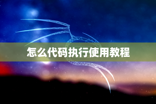 怎么代码执行使用教程
