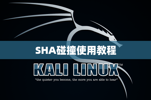 SHA碰撞使用教程