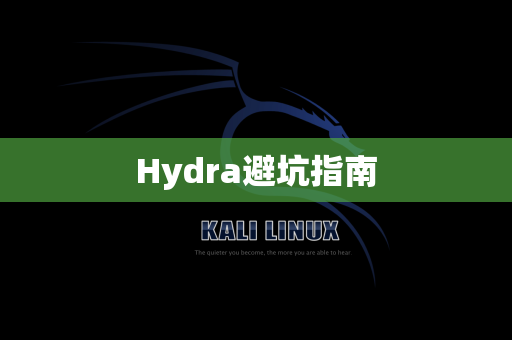 Hydra避坑指南