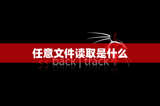 任意文件读取是什么