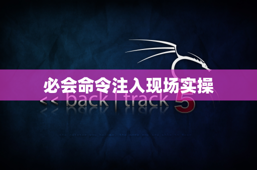 必会命令注入现场实操