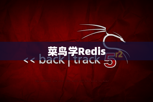 菜鸟学Redis