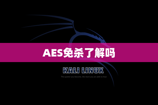 AES免杀了解吗