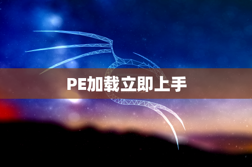 PE加载立即上手